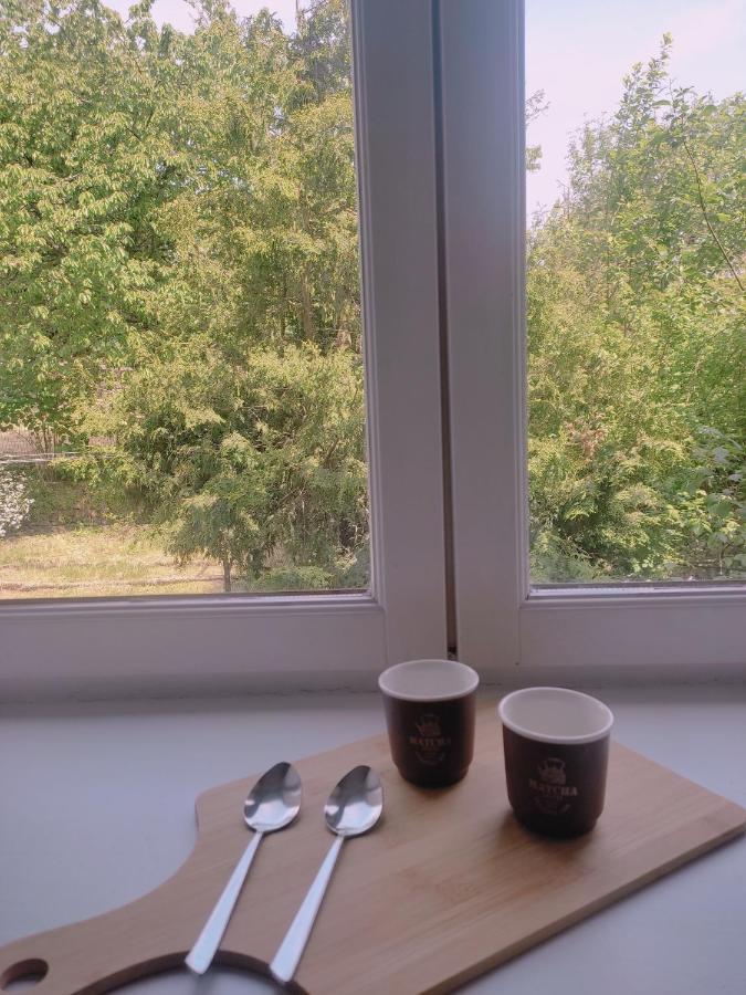Sezane Lejlighed Bains-les-Bains Eksteriør billede